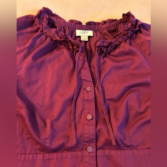 Ann Taylor Loft purple/plum button up cotton dress size 12 - Picture 4 of 9